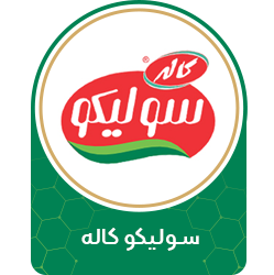 سیلکو کاله