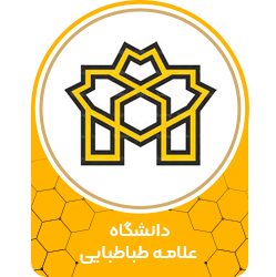 دانشگاه علامه